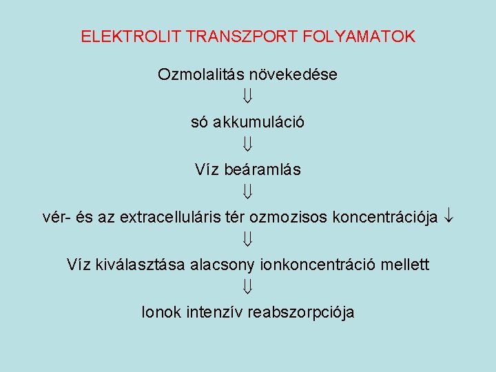 ELEKTROLIT TRANSZPORT FOLYAMATOK Ozmolalitás növekedése só akkumuláció Víz beáramlás vér- és az extracelluláris tér