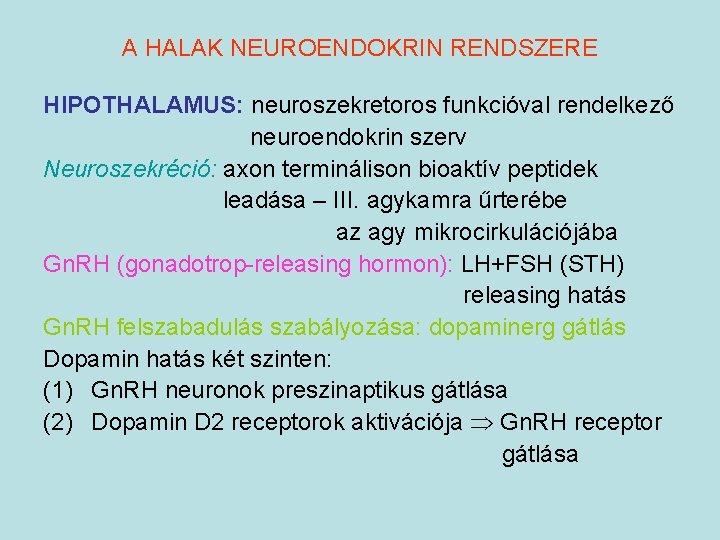 A HALAK NEUROENDOKRIN RENDSZERE HIPOTHALAMUS: neuroszekretoros funkcióval rendelkező neuroendokrin szerv Neuroszekréció: axon terminálison bioaktív