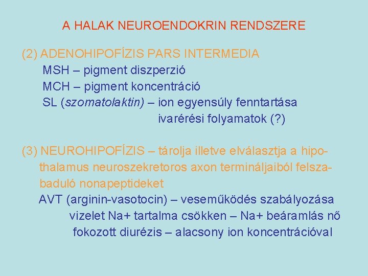 A HALAK NEUROENDOKRIN RENDSZERE (2) ADENOHIPOFÍZIS PARS INTERMEDIA MSH – pigment diszperzió MCH –
