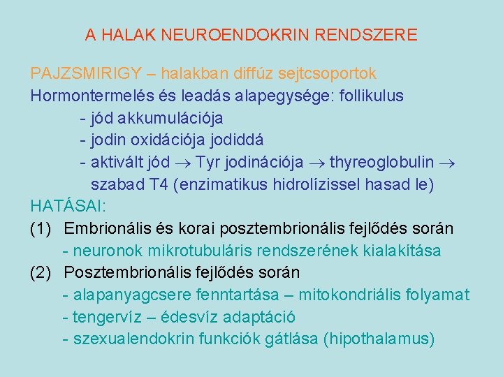 A HALAK NEUROENDOKRIN RENDSZERE PAJZSMIRIGY – halakban diffúz sejtcsoportok Hormontermelés és leadás alapegysége: follikulus