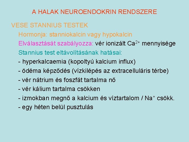 A HALAK NEUROENDOKRIN RENDSZERE VESE STANNIUS TESTEK Hormonja: stanniokalcin vagy hypokalcin Elválasztását szabályozza: vér