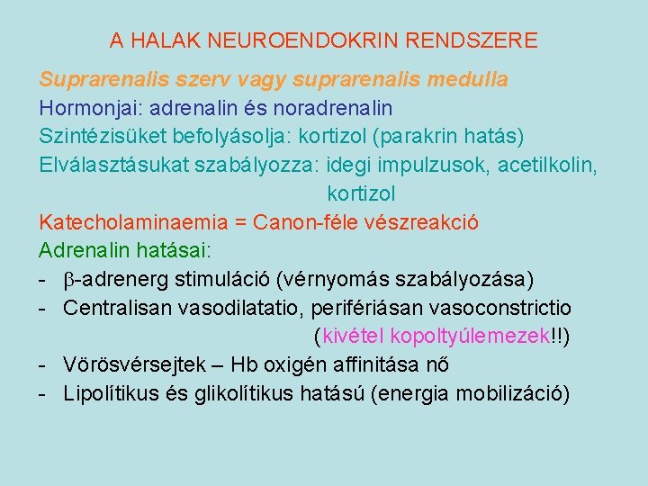 A HALAK NEUROENDOKRIN RENDSZERE Suprarenalis szerv vagy suprarenalis medulla Hormonjai: adrenalin és noradrenalin Szintézisüket