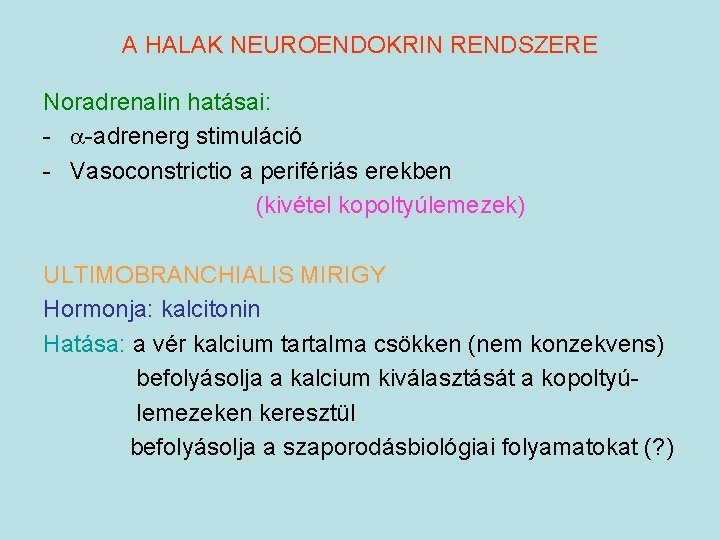 A HALAK NEUROENDOKRIN RENDSZERE Noradrenalin hatásai: - -adrenerg stimuláció - Vasoconstrictio a perifériás erekben