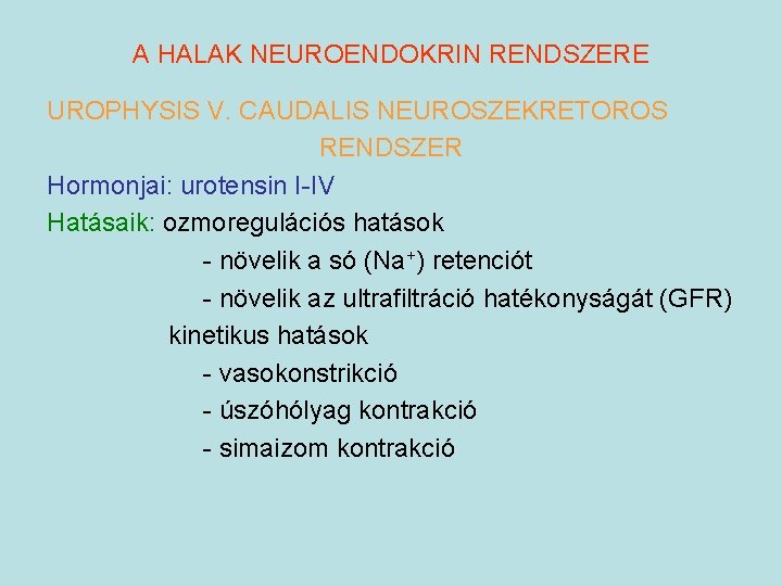 A HALAK NEUROENDOKRIN RENDSZERE UROPHYSIS V. CAUDALIS NEUROSZEKRETOROS RENDSZER Hormonjai: urotensin I-IV Hatásaik: ozmoregulációs