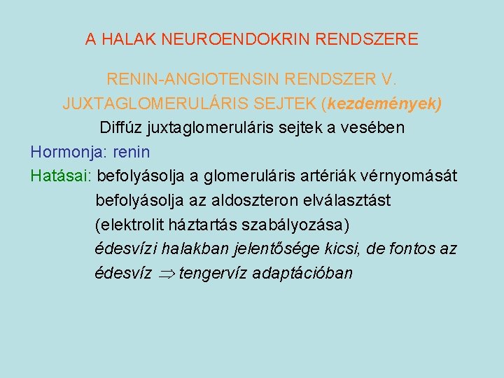 A HALAK NEUROENDOKRIN RENDSZERE RENIN-ANGIOTENSIN RENDSZER V. JUXTAGLOMERULÁRIS SEJTEK (kezdemények) Diffúz juxtaglomeruláris sejtek a