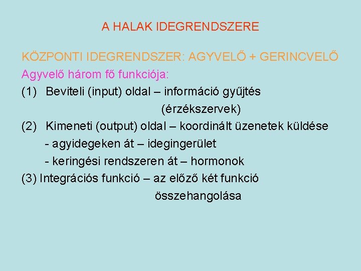 A HALAK IDEGRENDSZERE KÖZPONTI IDEGRENDSZER: AGYVELŐ + GERINCVELŐ Agyvelő három fő funkciója: (1) Beviteli