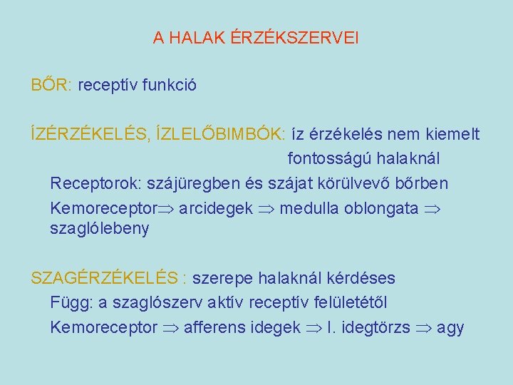 A HALAK ÉRZÉKSZERVEI BŐR: receptív funkció ÍZÉRZÉKELÉS, ÍZLELŐBIMBÓK: íz érzékelés nem kiemelt fontosságú halaknál