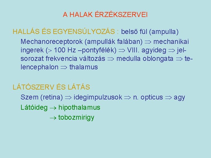 A HALAK ÉRZÉKSZERVEI HALLÁS ÉS EGYENSÚLYOZÁS : belső fül (ampulla) Mechanoreceptorok (ampullák falában) mechanikai