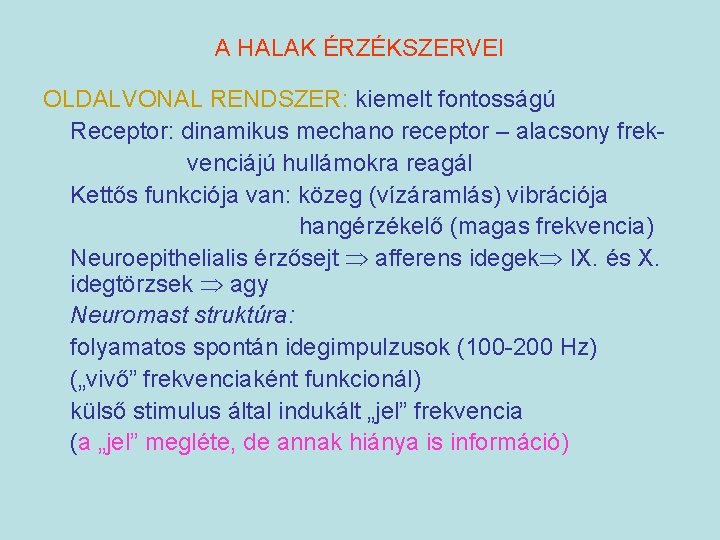 A HALAK ÉRZÉKSZERVEI OLDALVONAL RENDSZER: kiemelt fontosságú Receptor: dinamikus mechano receptor – alacsony frekvenciájú