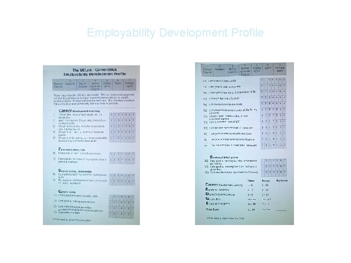 Employability Development Profile 