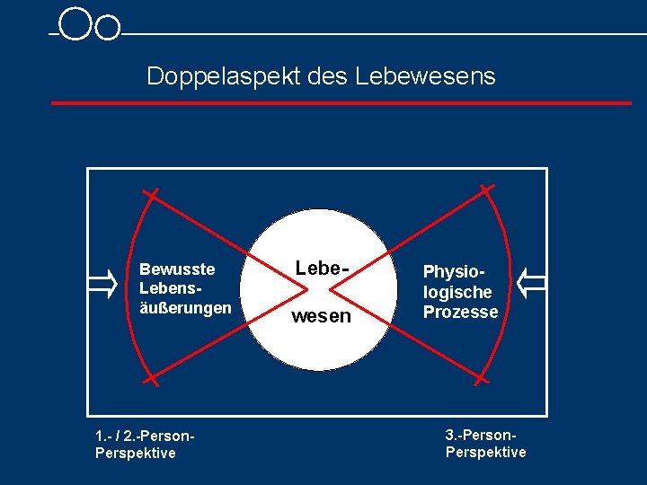 Doppelaspekt des Lebewesens Bewusste Lebensäußerungen 1. - / 2. -Person. Perspektive Lebewesen Physiologische Prozesse