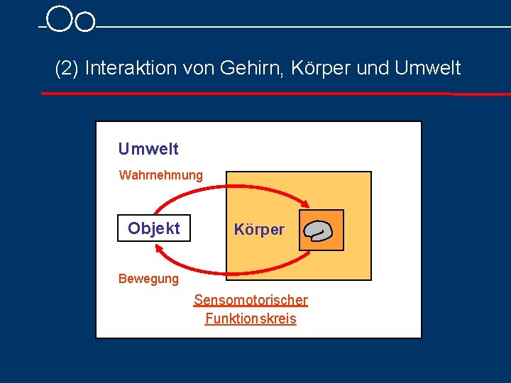 (2) Interaktion von Gehirn, Körper und Umwelt Wahrnehmung Objekt Körper Bewegung Sensomotorischer Funktionskreis (2) Interaktion von Gehirn, Körper und Umwelt Wahrnehmung Objekt Körper Bewegung Sensomotorischer Funktionskreis