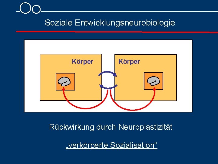 Soziale Entwicklungsneurobiologie Körper Rückwirkung durch Neuroplastizität „verkörperte Sozialisation“ 