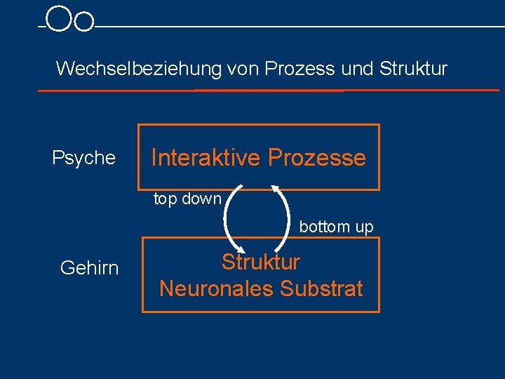 Wechselbeziehung von Prozess und Struktur Psyche Interaktive Prozesse top down bottom up Gehirn Struktur