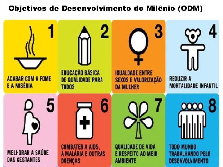 Objetivos de Desenvolvimento do Milênio (ODM) 