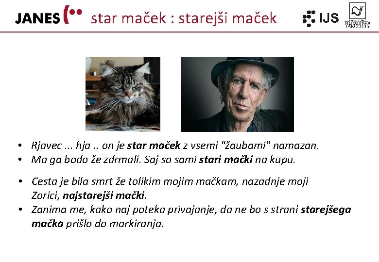 star maček : starejši maček • Rjavec. . . hja. . on je star