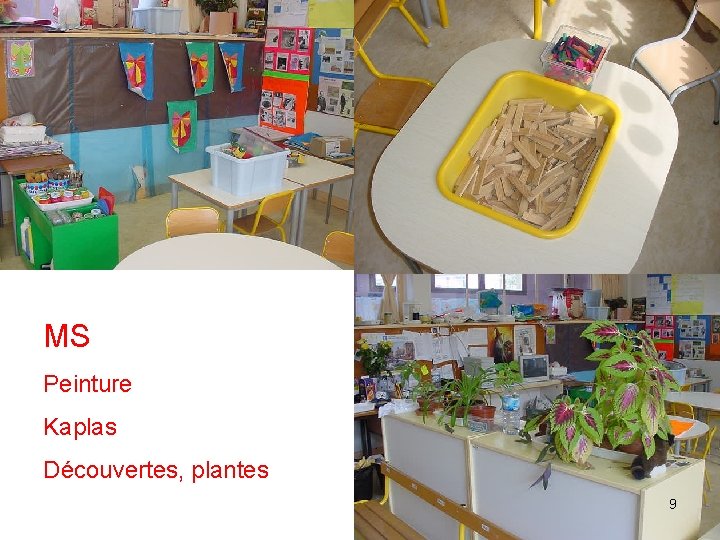 MS Peinture Kaplas Découvertes, plantes 9 