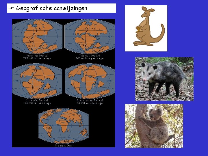  Geografische aanwijzingen 