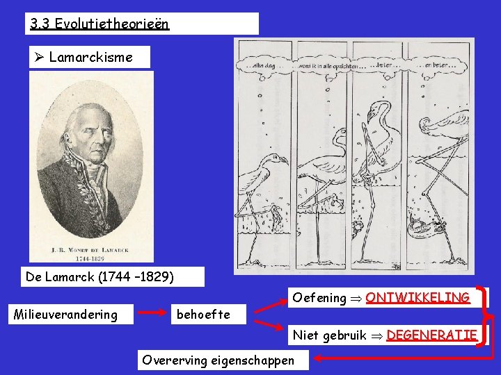 3. 3 Evolutietheorieën Lamarckisme De Lamarck (1744 – 1829) Milieuverandering behoefte Oefening ONTWIKKELING Niet