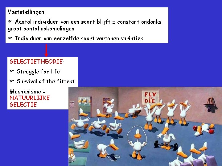 Vaststellingen: Aantal individuen van een soort blijft constant ondanks groot aantal nakomelingen Individuen van