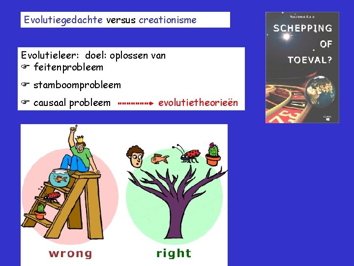 Evolutiegedachte versus creationisme Evolutieleer: doel: oplossen van feitenprobleem stamboomprobleem causaal probleem evolutietheorieën 