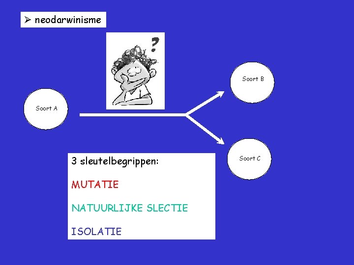  neodarwinisme Soort B Soort A 3 sleutelbegrippen: MUTATIE NATUURLIJKE SLECTIE ISOLATIE Soort C