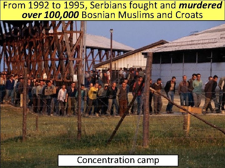 From 1992 to 1995, Serbians fought and murdered over 100, 000 Bosnian Muslims and From 1992 to 1995, Serbians fought and murdered over 100, 000 Bosnian Muslims and