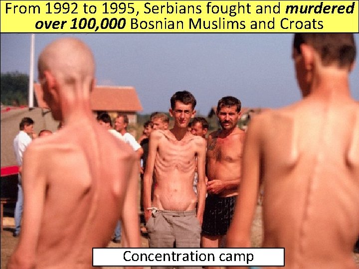 From 1992 to 1995, Serbians fought and murdered over 100, 000 Bosnian Muslims and From 1992 to 1995, Serbians fought and murdered over 100, 000 Bosnian Muslims and