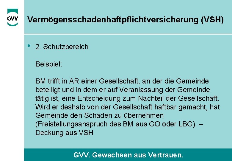 Vermögensschadenhaftpflichtversicherung (VSH) • 2. Schutzbereich Beispiel: BM trifft in AR einer Gesellschaft, an der