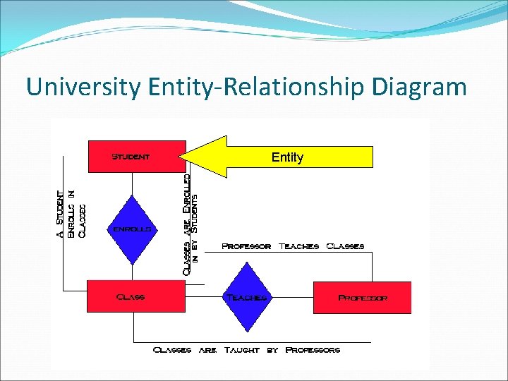 University Entity-Relationship Diagram Entity 