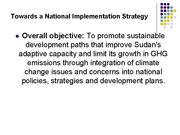 Towards a National Implementation Strategy Overall objective: To promote sustainable development paths that improve