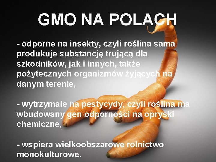 GMO NA POLACH - odporne na insekty, czyli roślina sama produkuje substancję trującą dla