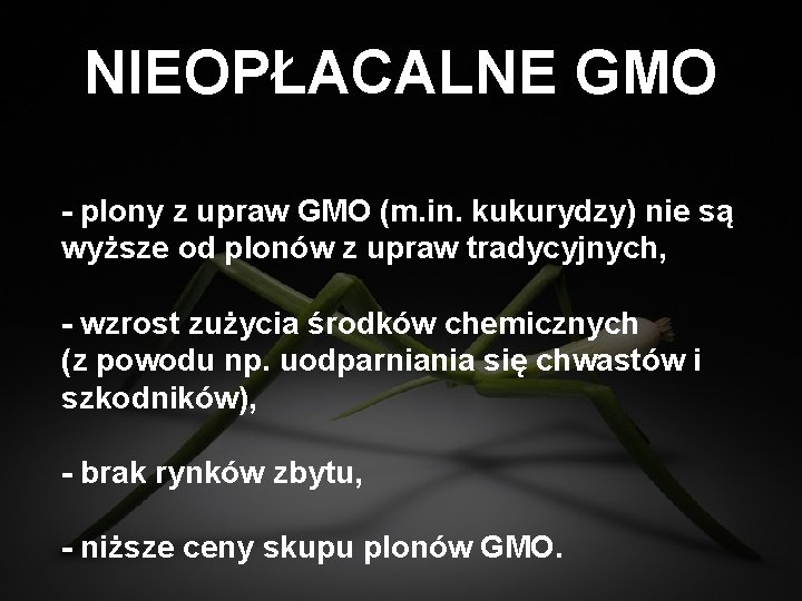 NIEOPŁACALNE GMO - plony z upraw GMO (m. in. kukurydzy) nie są wyższe od