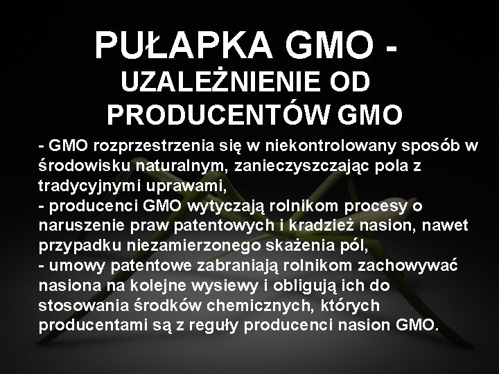 PUŁAPKA GMO UZALEŻNIENIE OD PRODUCENTÓW GMO - GMO rozprzestrzenia się w niekontrolowany sposób w