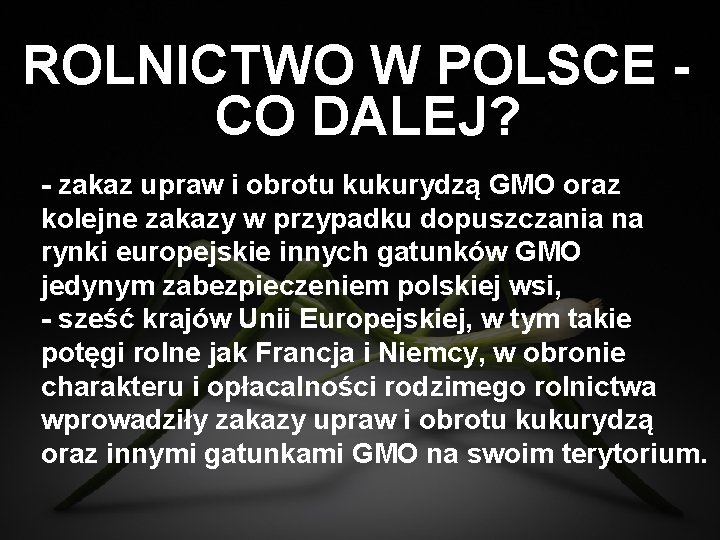 ROLNICTWO W POLSCE CO DALEJ? - zakaz upraw i obrotu kukurydzą GMO oraz kolejne