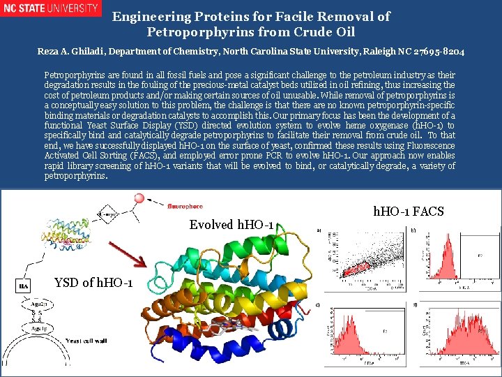 Engineering Proteins for Facile Removal of Petroporphyrins from Crude Oil Reza A. Ghiladi, Department