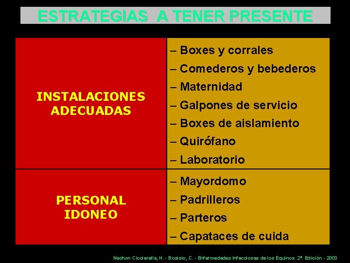 ESTRATEGIAS A TENER PRESENTE – Boxes y corrales – Comederos y bebederos INSTALACIONES ADECUADAS