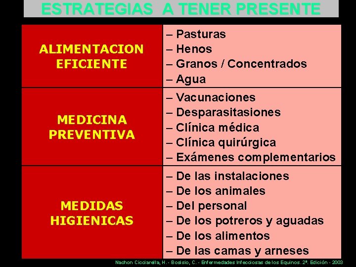 ESTRATEGIAS A TENER PRESENTE ALIMENTACION EFICIENTE – Pasturas – Henos – Granos / Concentrados