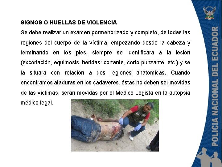 SIGNOS O HUELLAS DE VIOLENCIA Se debe realizar un examen pormenorizado y completo, de