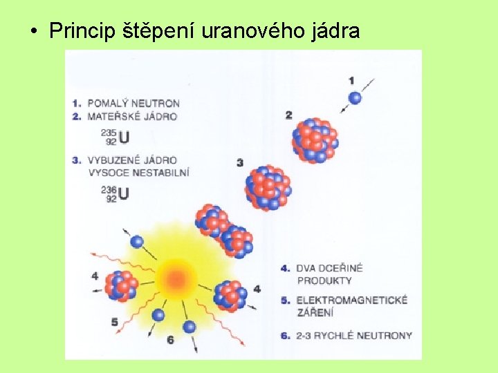  • Princip štěpení uranového jádra 