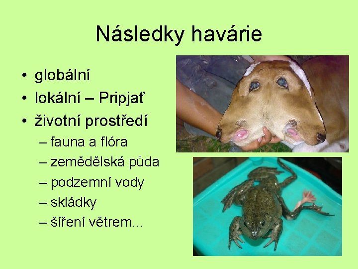 Následky havárie • globální • lokální – Pripjať • životní prostředí – fauna a