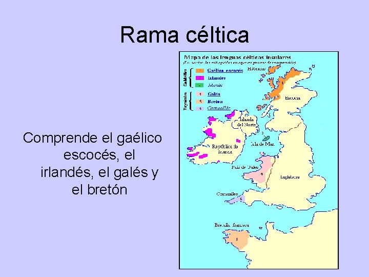 Rama céltica Comprende el gaélico escocés, el irlandés, el galés y el bretón 