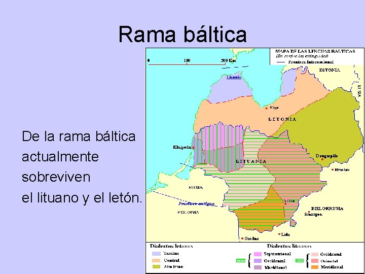 Rama báltica De la rama báltica actualmente sobreviven el lituano y el letón. 