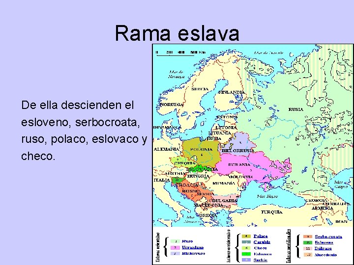 Rama eslava De ella descienden el esloveno, serbocroata, ruso, polaco, eslovaco y checo. Rama eslava De ella descienden el esloveno, serbocroata, ruso, polaco, eslovaco y checo.