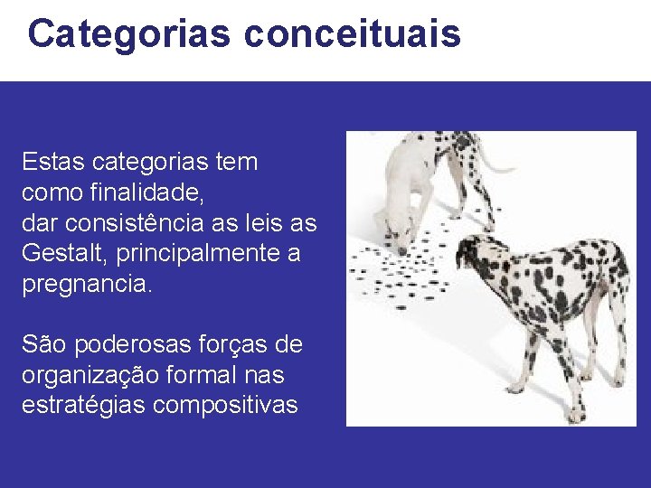 Categorias conceituais Estas categorias tem como finalidade, dar consistência as leis as Gestalt, principalmente