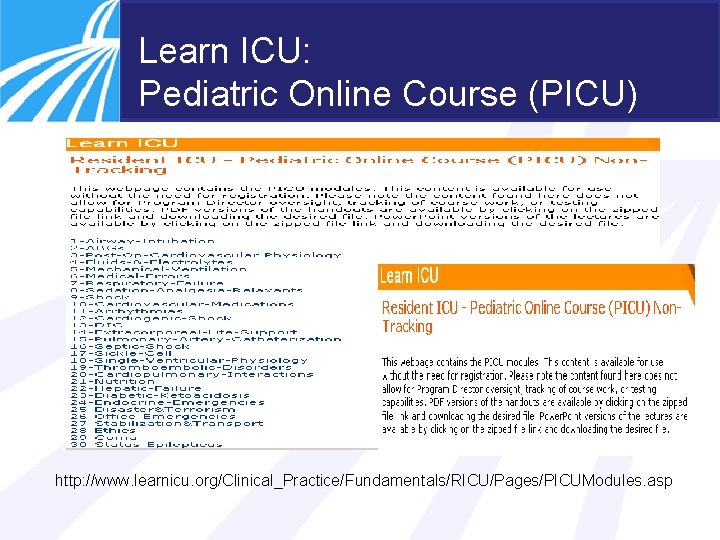 Learn ICU: Pediatric Online Course (PICU) http: //www. learnicu. org/Clinical_Practice/Fundamentals/RICU/Pages/PICUModules. asp 