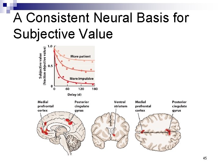 A Consistent Neural Basis for Subjective Value 45 
