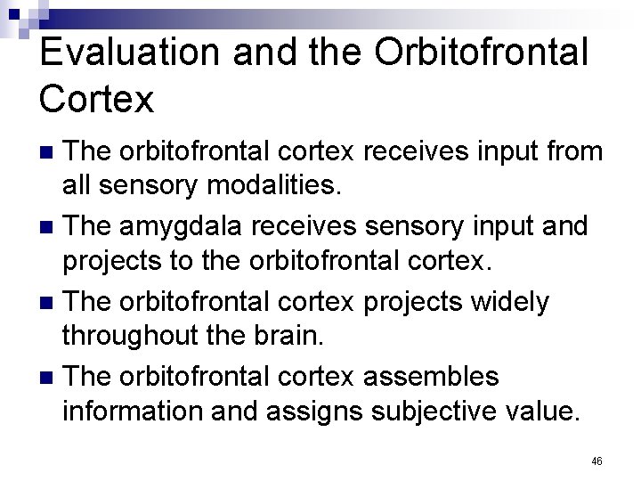 Evaluation and the Orbitofrontal Cortex The orbitofrontal cortex receives input from all sensory modalities.
