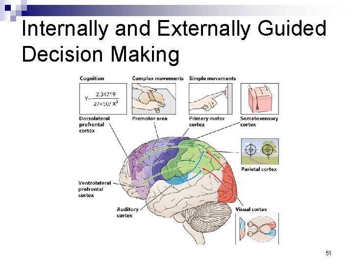 Internally and Externally Guided Decision Making 51 