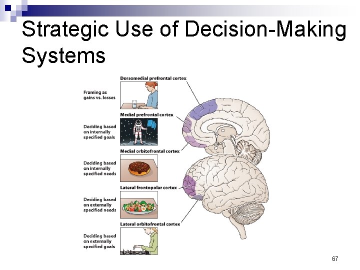 Strategic Use of Decision-Making Systems 67 